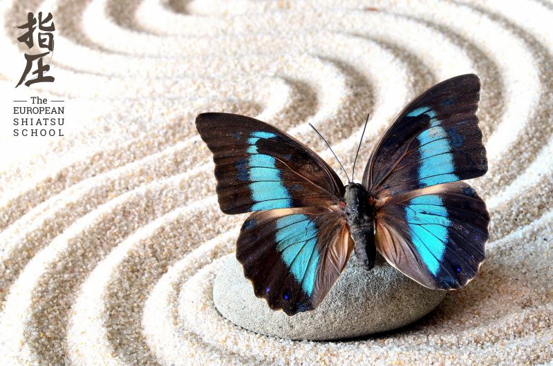 Fotolia_121352447_M